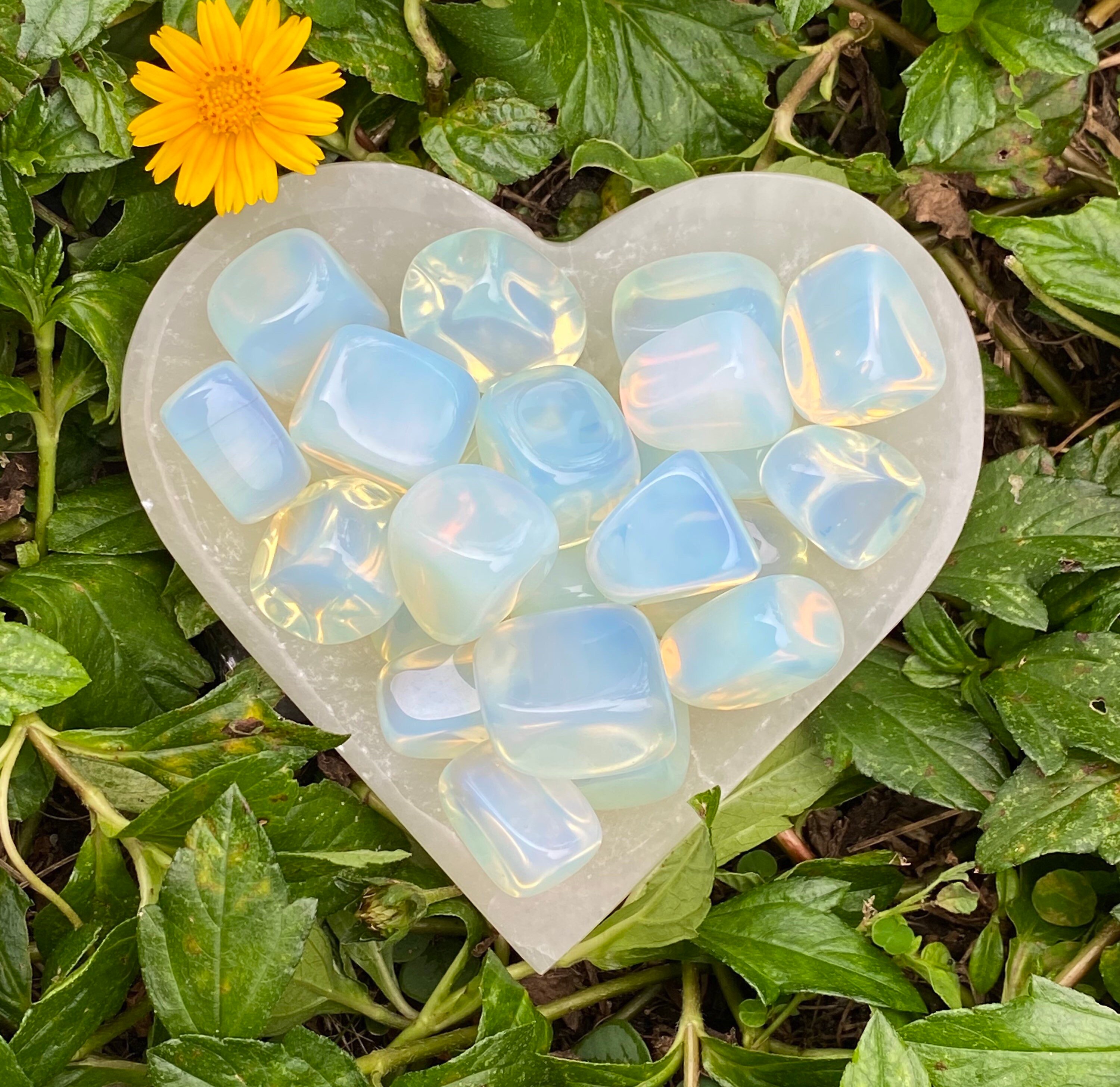 Opalite Tumbled Stones, Opalite Tumble Stone, Opalite, Crystal, Cryst…