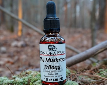 Reishi, Chaga and Lion's Mane Mushroom Tincture. Wild and Organic Mushroom Extract