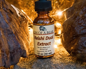 Tinctuur van wilde Reishi, dubbel extract van wilde paddenstoelen. Gevoerd Ganoderma tsugae duaal extract. Wild, organisch