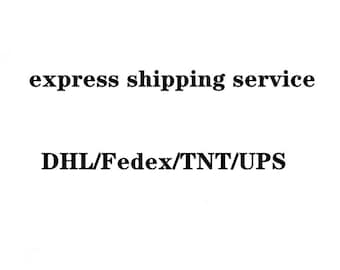 Express mail service