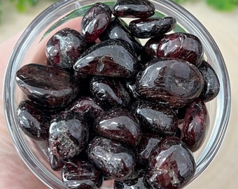 Tumbled Almandine Garnets