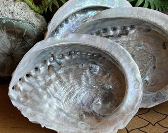 White Sage Smudge Kit Abalone Shell Smudge Feather White Sage Cleanse ...