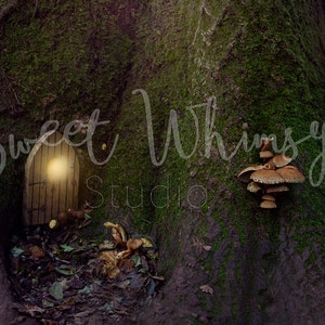 Fairy Door Backdrop | Composite Background | Digital Backdrop | Fairy Tree Backdrop | Photoshop Backdrop | Fairy Background |Fairy Backdrop