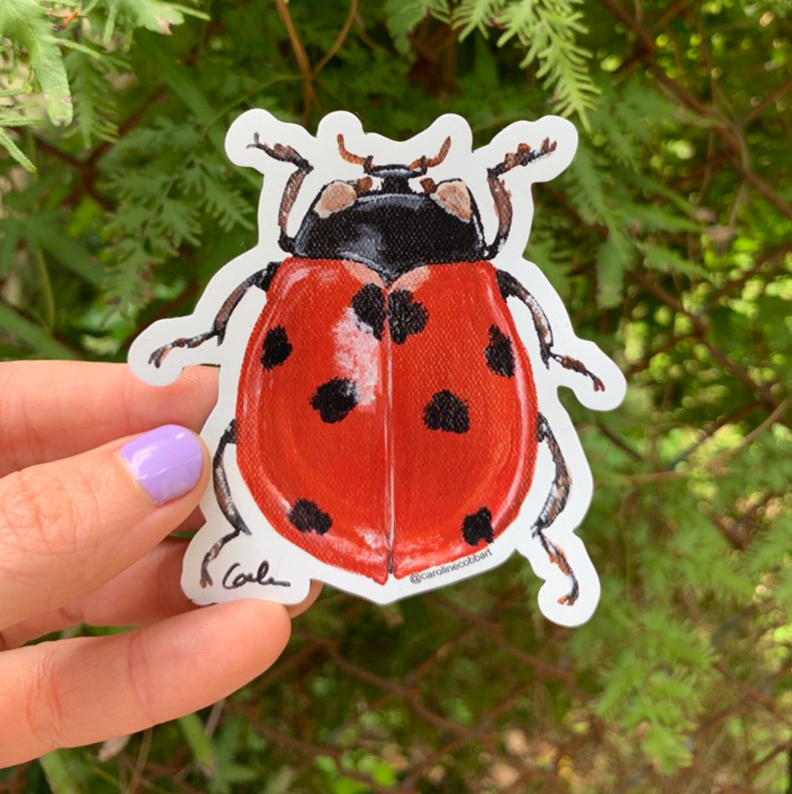 Ladybug Etsy