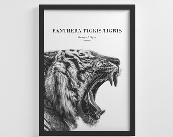 LEOPARD Photo Picture Poster Print Art A0 A1 A2 A3 A4 Animal Poster 3345
