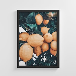 Agrumi limone senza cornice foto Poster natura arte stampa elegante decorazione domestica parete Art Nursery Decor Living Room | IC166