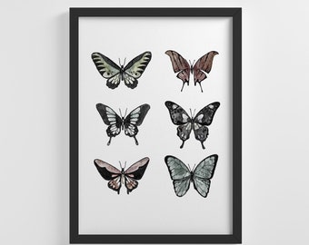Colorful Butterfly Pack Watercolor Insect Print Frameless Poster Illustration Art Print Home Wall Art Nursery Decoration Perfect Gift | IC40