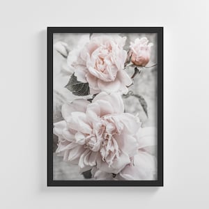 Pink Peony Flower Blossoms Frameless Poster Nature Art Print Stylish Home Decoration Wall Art Nursery Decor Living Room | IC133
