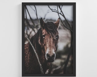 Brown Wild Horse Frameless Photo Poster Animal Art Print Stylish Home Decoration Wall Art Nursery Decor Living Room | IC172