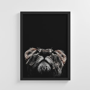 Wild Cat Lion Head Photography Frameless Poster Animal Art Print Stylish Home Decoration Wall Art Nursery Decor Living Room | IC144