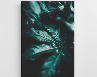 Wet Tropical Green Leafs Photo Large Canvas Nature Art Print Stylish Home Decoration Wall Art Nursery Decor Living Room | IC120