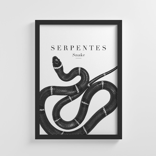 The Snake Serpent Animal Print Frameless Poster Illustration Art Print Home Wall Art Nursery Decor Perfect Gift | IC22