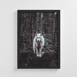 Wald kalten weißen Wolf rahmenlose Foto Poster Tier Kunstdruck stilvolle Dekoration Wandkunst Kinderzimmer Dekor Wohnzimmer | IC170