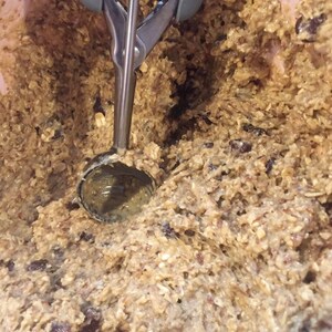 Large lactation cookies
