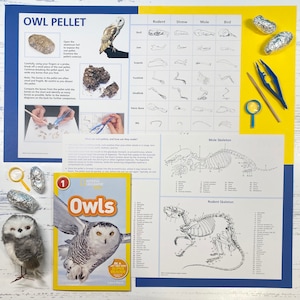 Owl Pellets Dissection Kit 