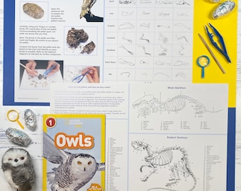 Kit de disección de pellets de búho