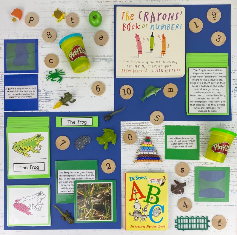 May include: A colorful educational set for learning about numbers and the alphabet. The set includes a book titled "The Crayons' Book of Numbers", a book titled "Dr. Seuss's ABC: An Amazing Alphabet Book!", wooden number tiles, a frog figurine, a play dough container, and other educational toys.