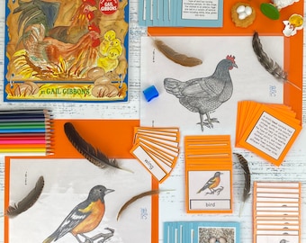 Kit de aves y pájaros