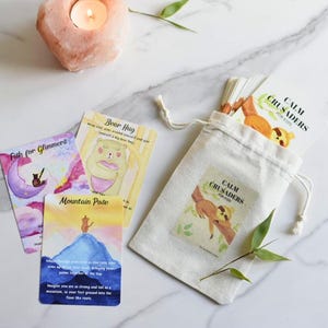 Calm Crusaders Card Deck, Nervöse System Regulation, Bewältigungsmöglichkeiten, Emotionale Intelligenz, Karteikarten