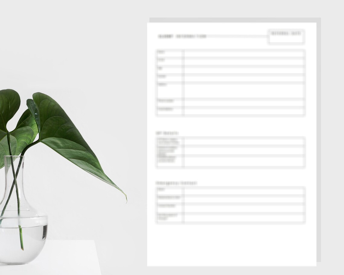 Therapist Paperwork Bundle- A4 Printable, Counsellors Notes ...