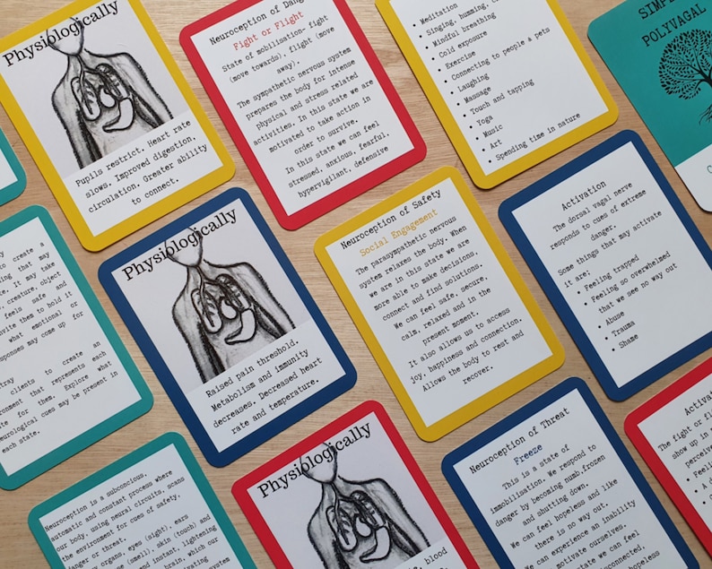 May include: A set of colourful cards with illustrations of the human body and text describing different physiological states. The cards are labelled with terms like "Fight or Flight", "Social Engagement", "Freeze", and "Activation".