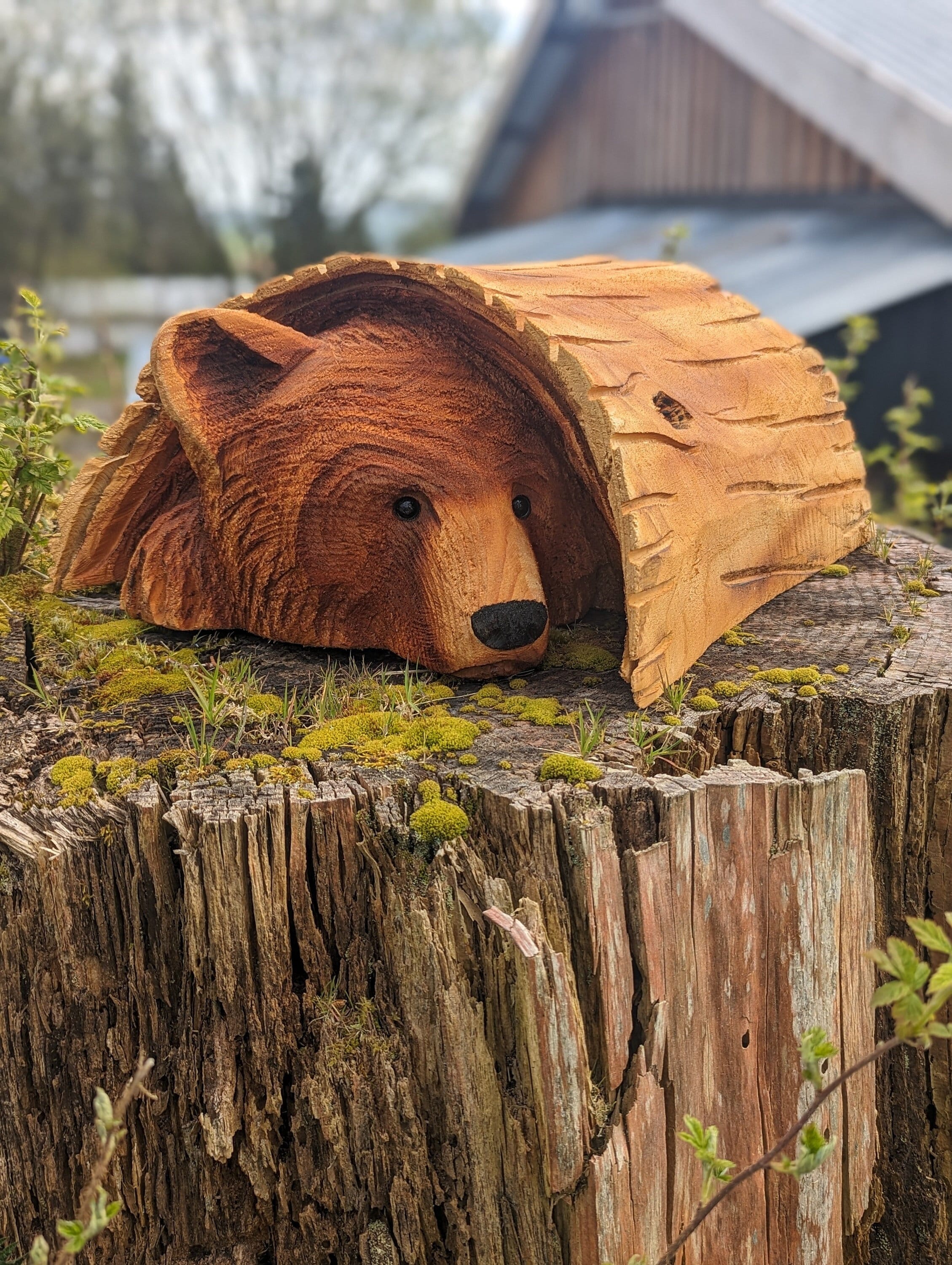 Bear Cub in a Log - Chainsaw Carving - Etsy