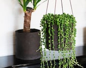 Modern ceramic bold hanging pot, house planter, minimalist, rustic, raw, storage pot, scandinavian style -medium