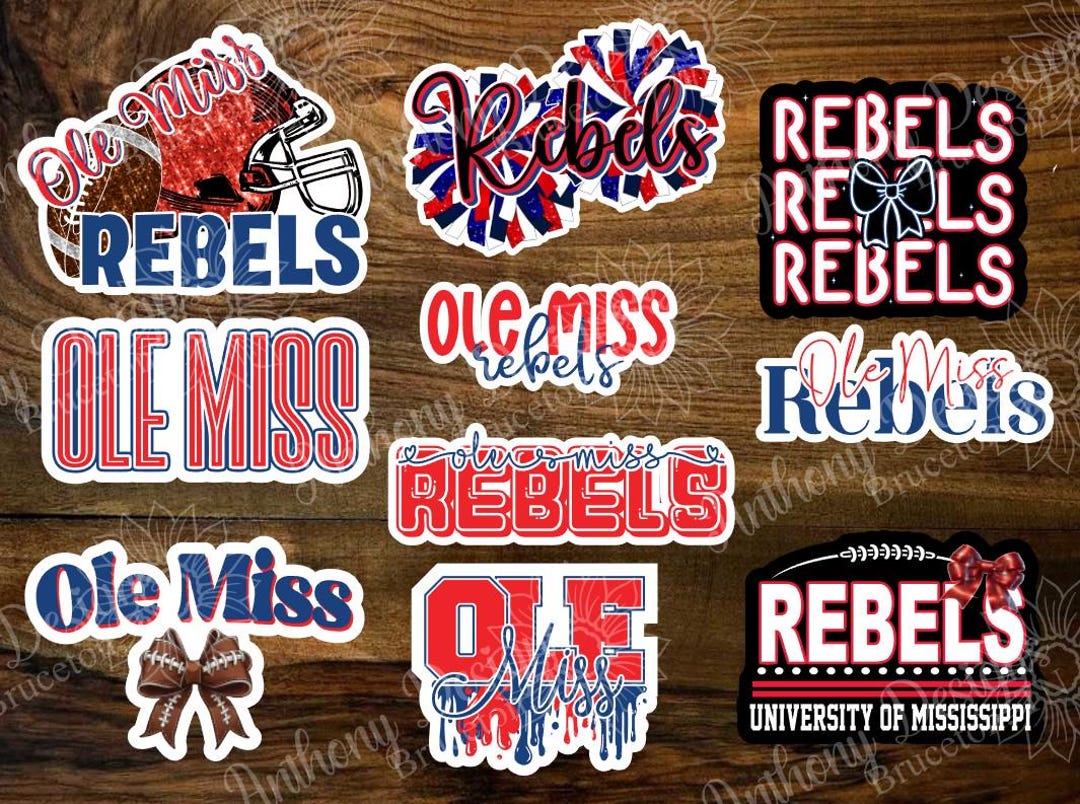 Ms Labonz Sticker Mississippi Vinyl Stickers You Receive All Stickers in Listing Photo - Etsy