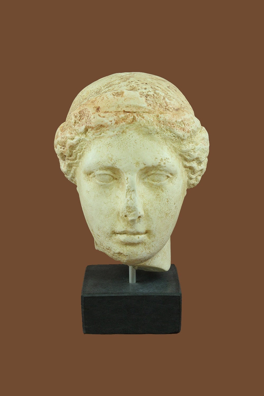 アフロディーテ像の頭部、石膏鋳造アフロディーテ女神ギリシャ神話の