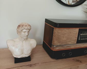 アポロンの胸像 ギリシャ神 石膏彫刻 古代ギリシャ 音楽と太陽の神
