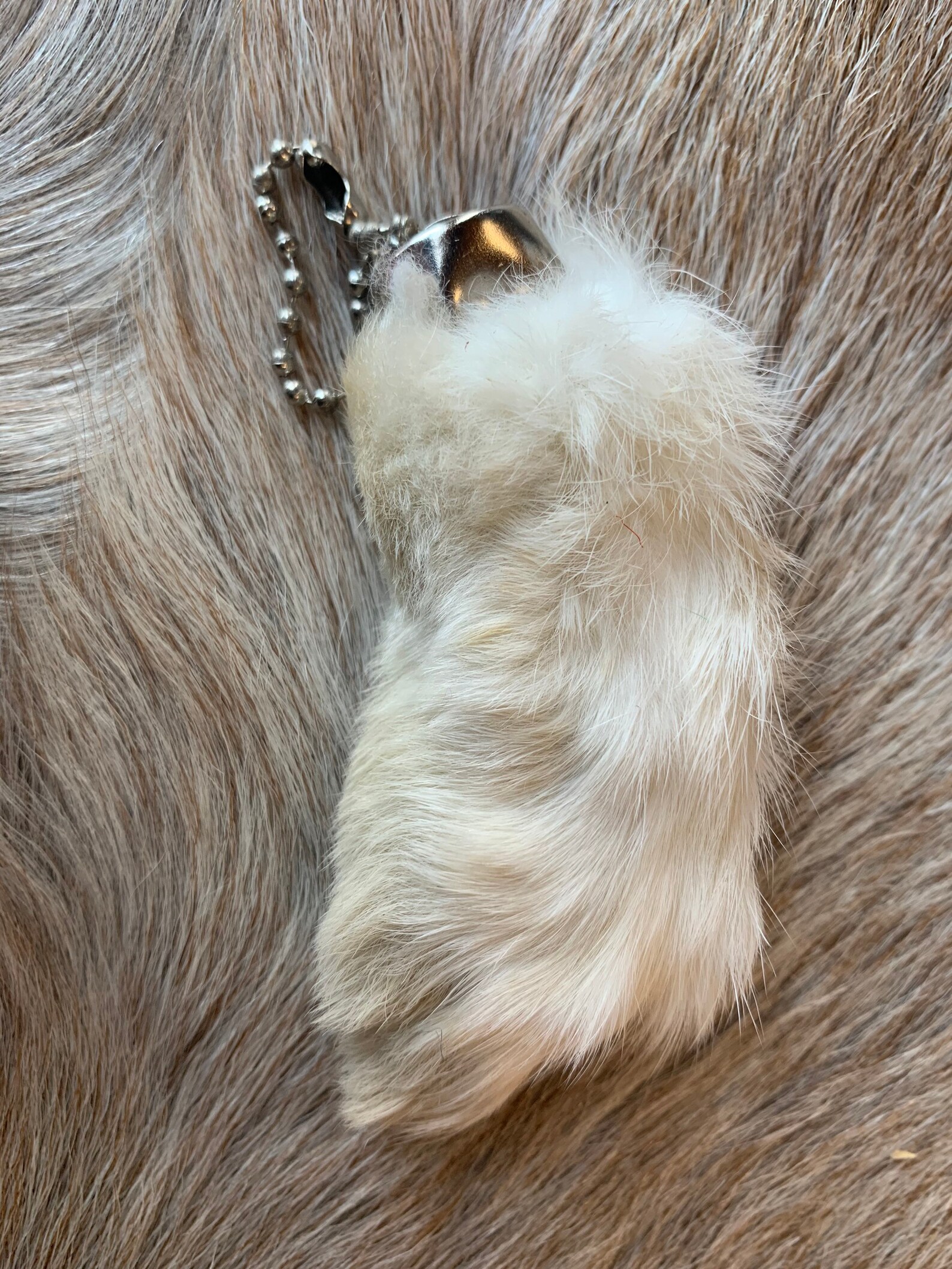 Rabbit Foot Keychain Etsy