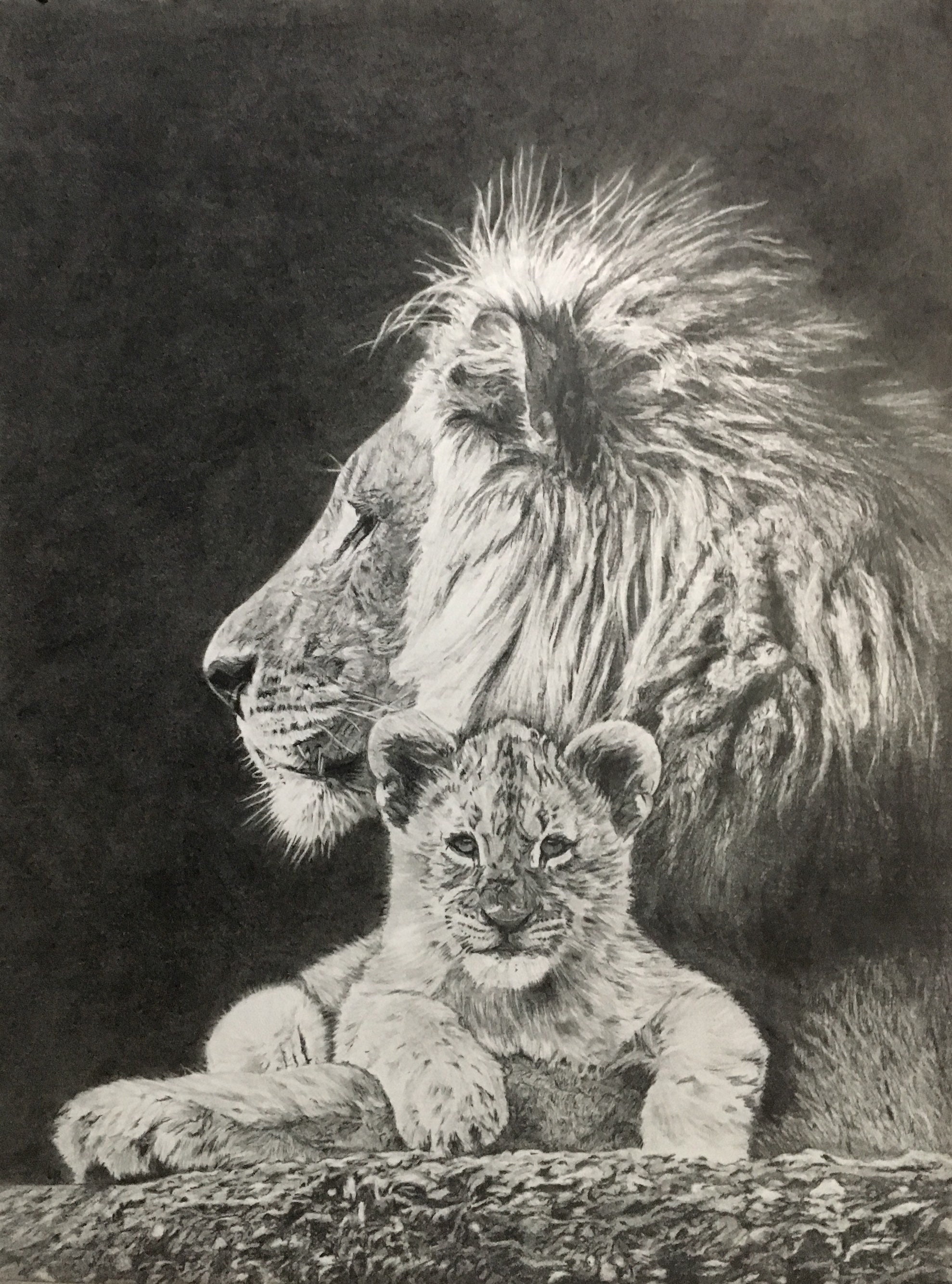Dibujo original a lápiz leones padre e hijo bellas artes - Etsy España