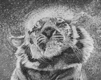 Original art, pencil drawing, Siberian tiger, home decor, office decor, graphite art, gift idea, lowkey, wall art, boho style