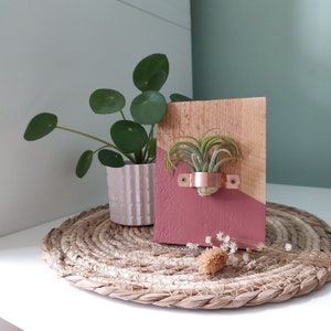 Op de afbeelding: Een houten wandplantenhouder met een roze en bruine verfbehandeling. Een kleine luchtplant wordt getoond in een koperen houder die aan de plantenhouder is bevestigd. De plantenhouder staat op een geweven stro mat.