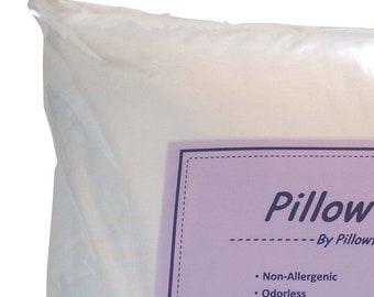 30x30 Pillow Insert Etsy