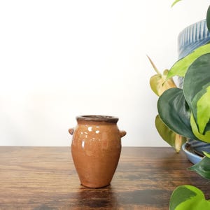 May include: A small, brown ceramic vase with a glossy finish. The vase has a rounded body, a dark brown rim, and two small handles. It sits on a wooden surface, with a plant in the background.
