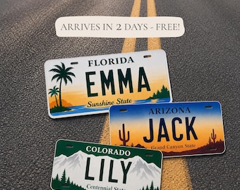 Custom State License Plate, Personalized 6x12 Aluminum Plate, Garage Wall Decor, Name Plate Gift