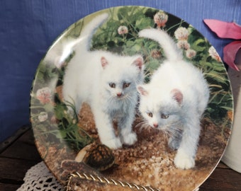 Knowles 1987 "A Chance Meeting White American Shorthairs"china collectors plate