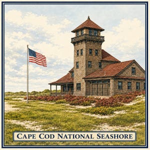 May include: A painting of a shingled building with a tall tower and red roof, situated in a grassy landscape with a waving American flag on a pole. The text CAPE COD NATIONAL SEASHORE is printed in a rectangular frame at the bottom of the image.