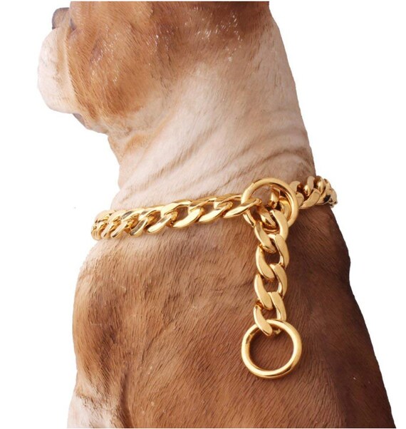 14k gold dog collar