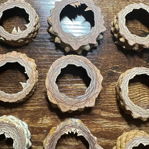 May include: A collection of 11 brown, circular, wooden, decorative items with intricate patterns. The items are arranged in rows on a wooden surface.