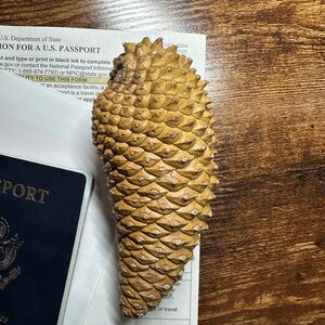 Puede incluir: Un primer plano de una gran pi&ntilde;a marr&oacute;n con una superficie texturizada. La pi&ntilde;a est&aacute; sobre una superficie de madera.
