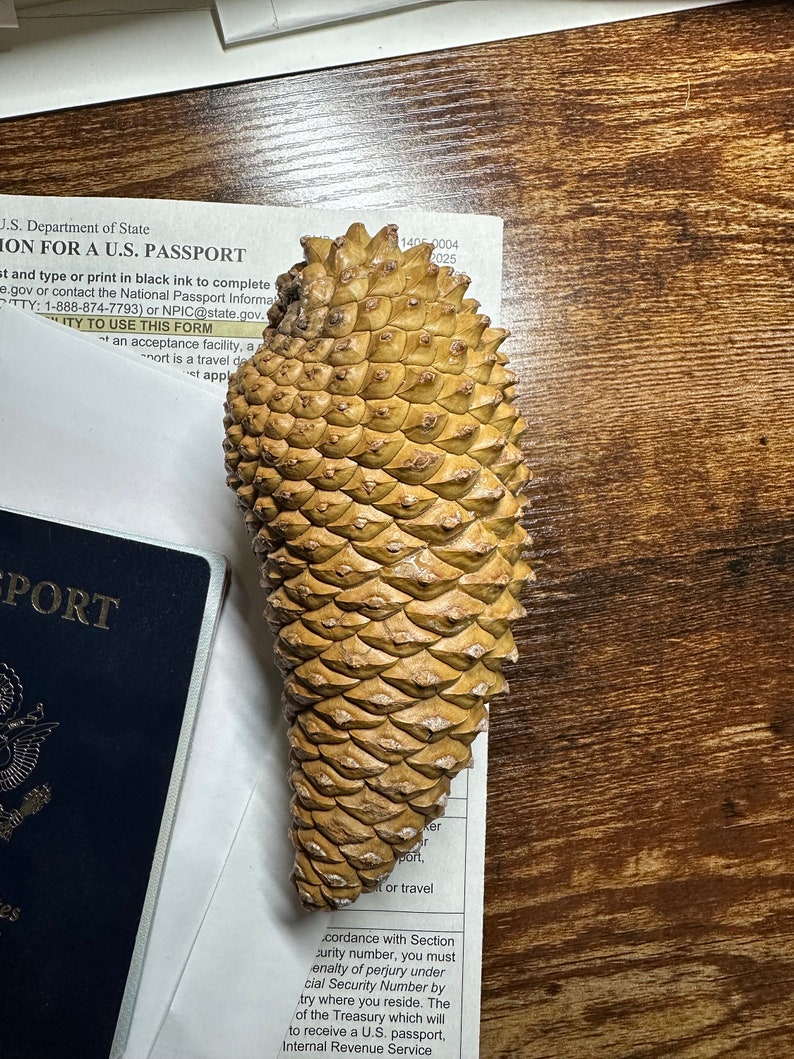 Puede incluir: Un primer plano de una gran pi&ntilde;a marr&oacute;n con una superficie texturizada. La pi&ntilde;a est&aacute; sobre una superficie de madera.