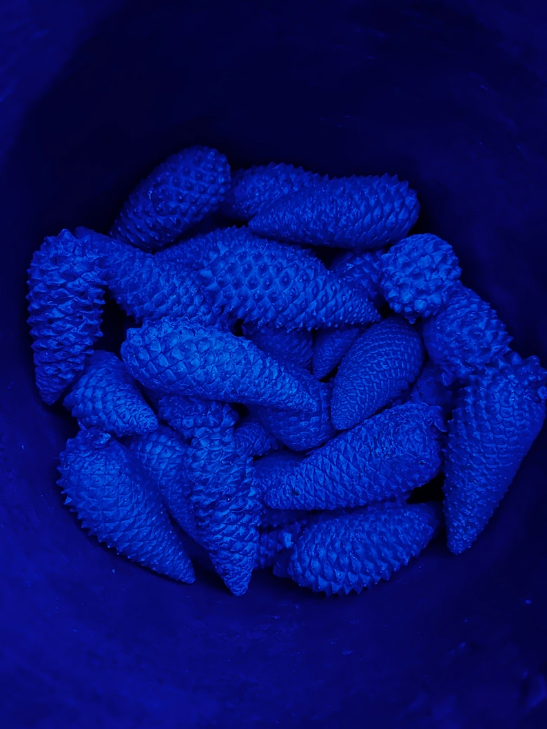 Puede incluir: Primer plano de un grupo de pi&ntilde;as azules en un recipiente azul oscuro. Las pi&ntilde;as est&aacute;n dispuestas en un patr&oacute;n aleatorio, con algunas superpuestas.