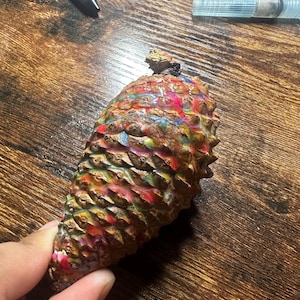 May include: A large, colorful pine cone with vibrant hues of red, blue, and yellow. The cone's scales are intricately detailed, and the colors are applied in a way that highlights the natural texture. The cone is held in a hand, showcasing its size and shape.