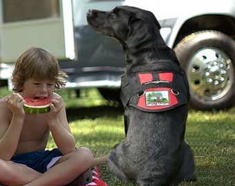 Happy Camper Dog Harness