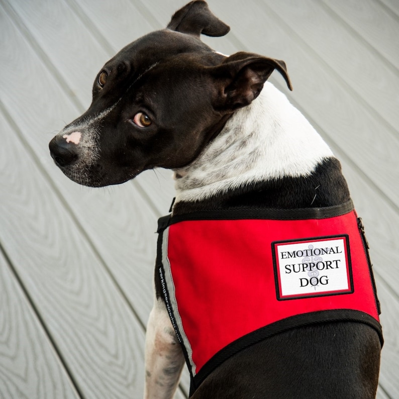 Pink emotional support dog vest