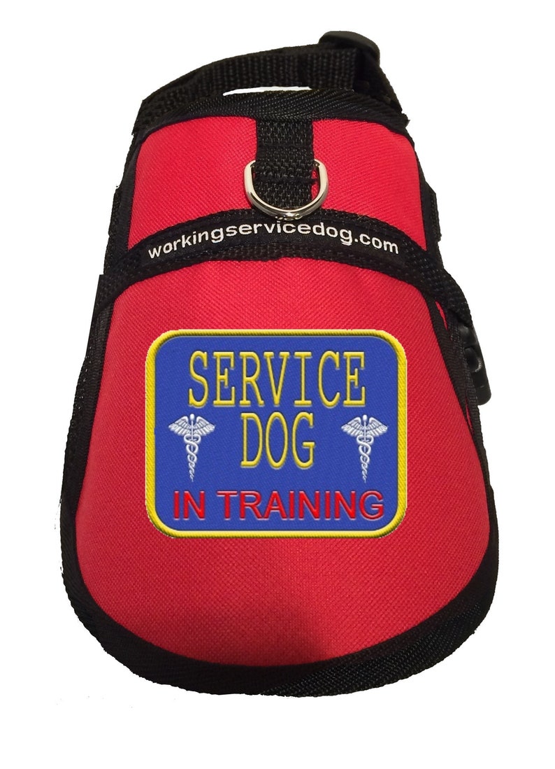 Service Dog In Training Mesh Harness Vest image 7