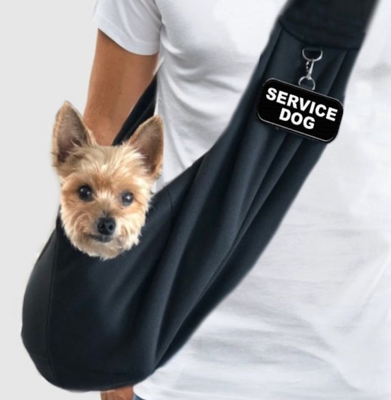 small service dogs