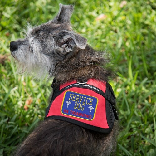 Service Dog Vest Houndstooth Dog Vest Service Dog in Etsy